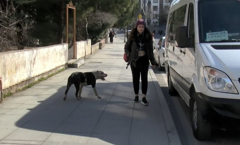 Ataşehir’de okul çevresinde pitbull paniği